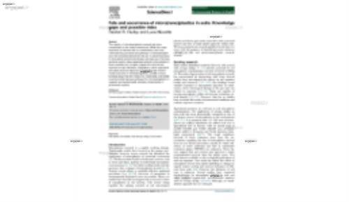 Fate and occurrence of micro(nano)plastics in soils: Knowledge gaps and possible risks